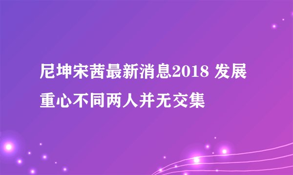 尼坤宋茜最新消息2018 发展重心不同两人并无交集