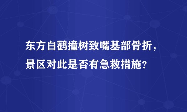 东方白鹳撞树致嘴基部骨折,景区对此是否有急救措施?