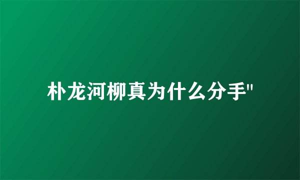 朴龙河柳真为什么分手