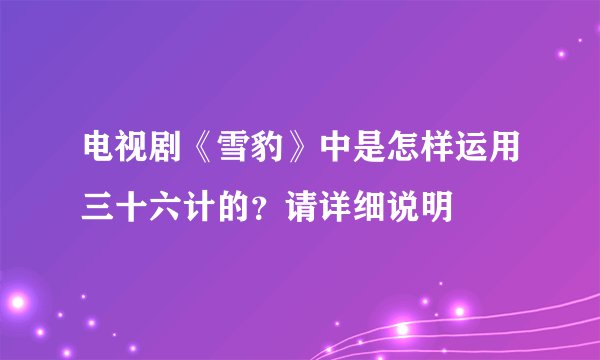 电视剧《雪豹》中是怎样运用三十六计的?请详细说明