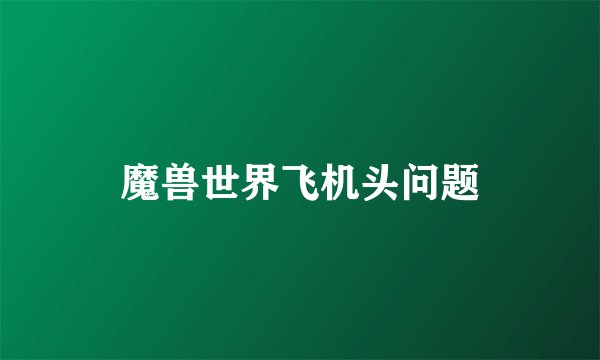 魔兽世界飞机头问题