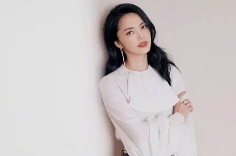 姚晨是谁？