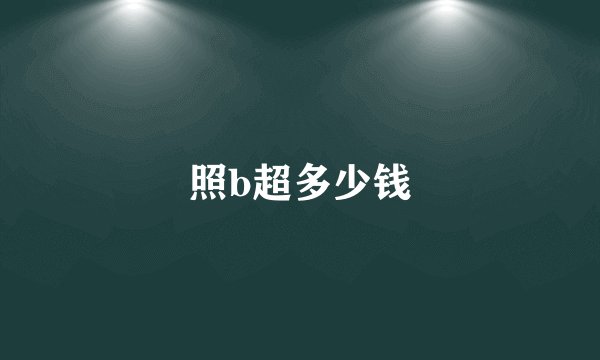 照b超多少钱
