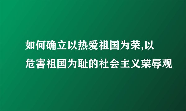 如何确立以热爱祖国为荣,以危害祖国为耻的社会主义荣辱观