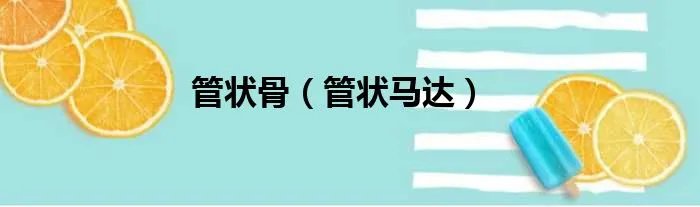 管状骨（管状马达）