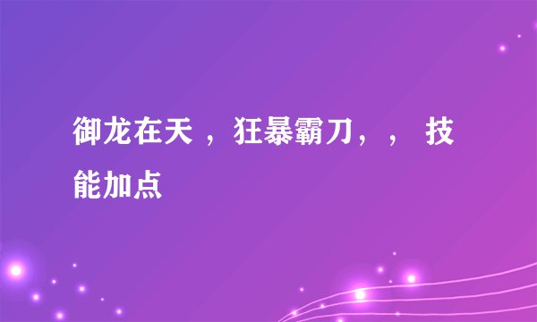 御龙在天 ，狂暴霸刀，， 技能加点