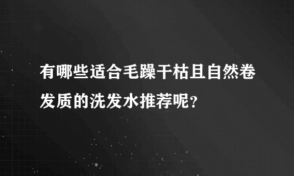 有哪些适合毛躁干枯且自然卷发质的洗发水推荐呢？