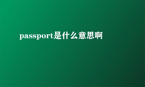 passport是什么意思啊