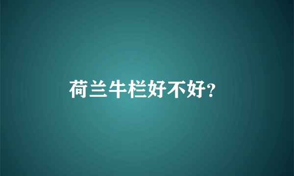 荷兰牛栏好不好？