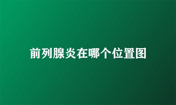 前列腺炎在哪个位置图