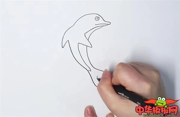 海豚是什么颜色的图片大全？