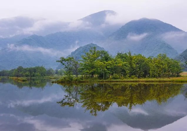 神农架在哪里 神农架在湖北哪个市