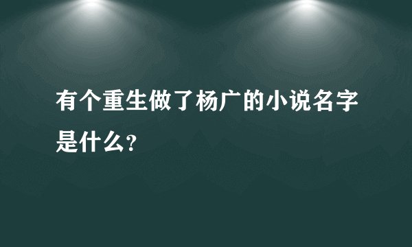 有个重生做了杨广的小说名字是什么？