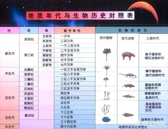 如果发现人类是高级文明培养实验品,会对现在社会有什么影响?