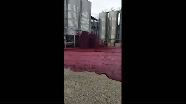 西班牙小镇5万升红酒桶破裂，造成了多大的经济损失？