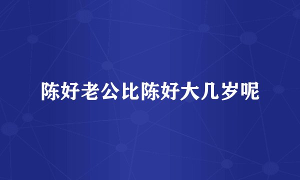 陈好老公比陈好大几岁呢
