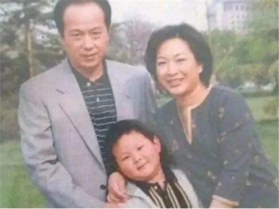 11年前,罗京葬礼上哭晕的刘继红,如今为何转身就嫁给富商?