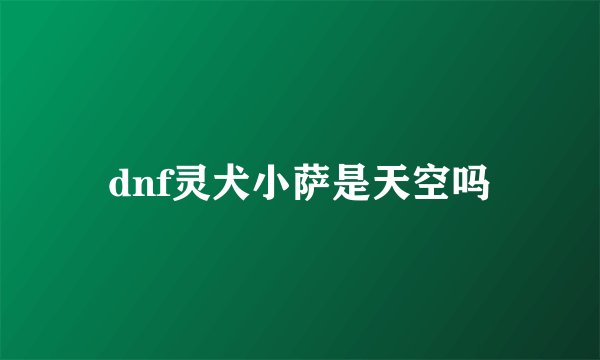 dnf灵犬小萨是天空吗