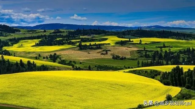 城乡规划专业就业前景怎么样?