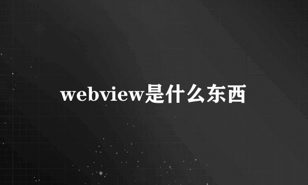 webview是什么东西