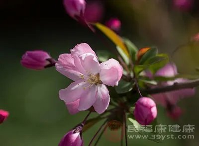 小满养生 小满这样做可以预防疾病