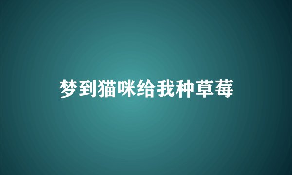 梦到猫咪给我种草莓