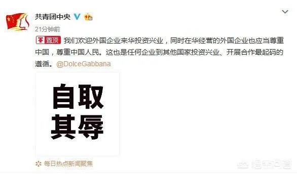 《环球时报》总编辑胡锡进称“不觉得杜嘉班纳这家公司有辱华的动机”,你如何评价?