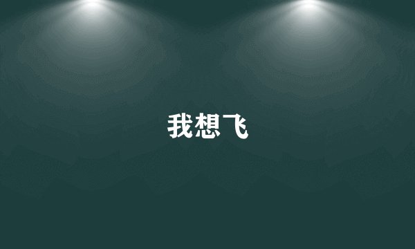 我想飞