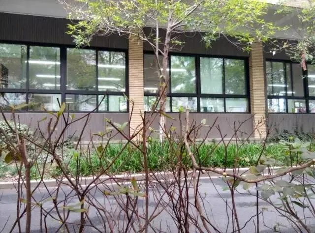 10岁小男孩从四楼跳下，醒来后对妈妈说了这7个字……值得家长深思！