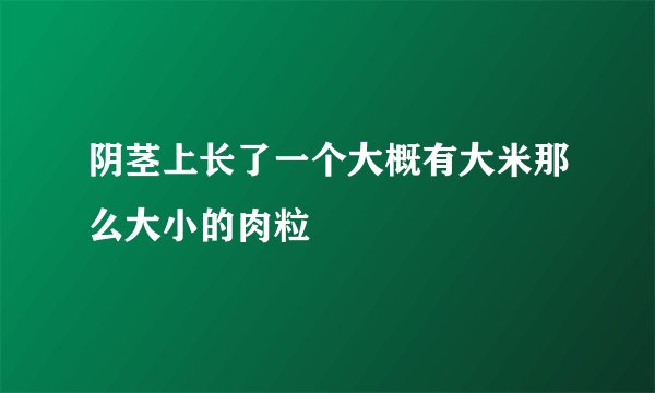 阴茎上长了一个大概有大米那么大小的肉粒