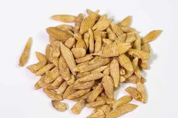 鹿茸的功效