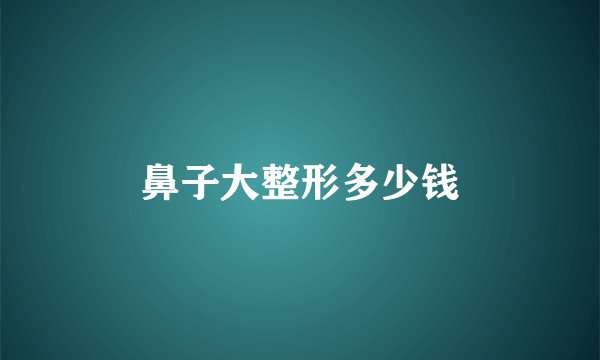 鼻子大整形多少钱