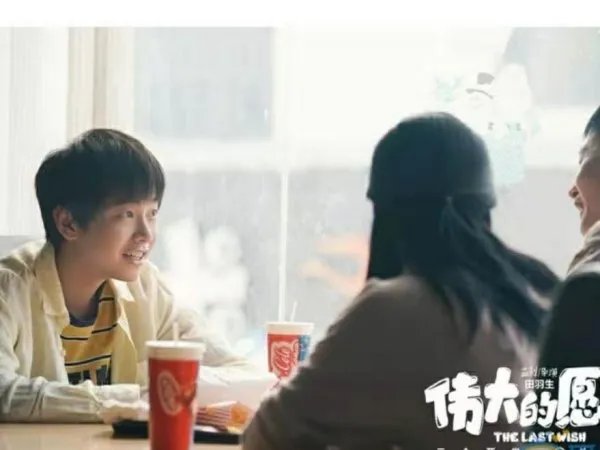 如何评价《伟大的愿望》继改名《小小的愿望》后又被撤档?