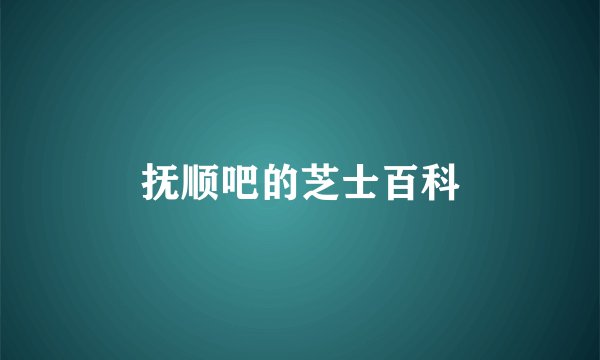 抚顺吧的芝士百科