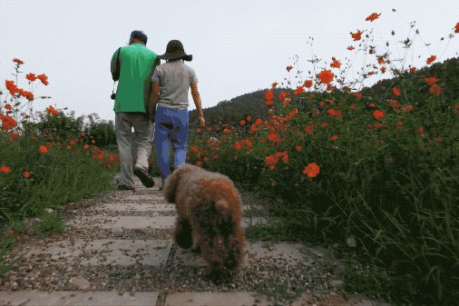 是不是每个不想结婚的人心里面都藏着一个人?