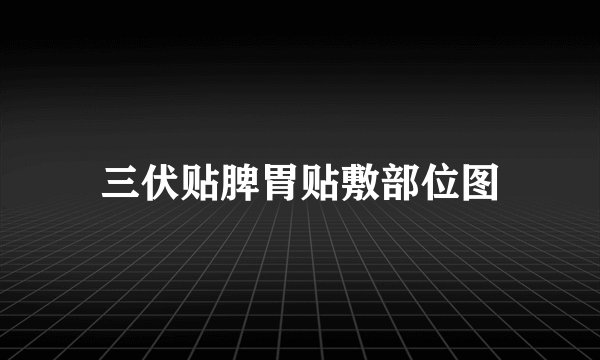 三伏贴脾胃贴敷部位图