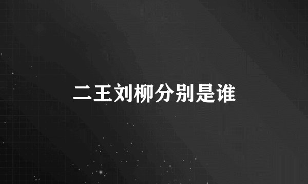二王刘柳分别是谁