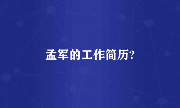 孟军的工作简历?