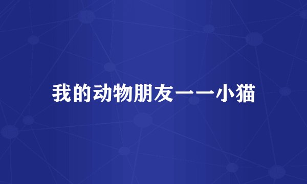 我的动物朋友一一小猫