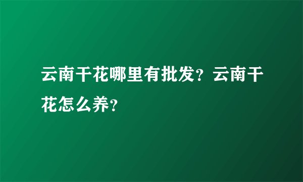 云南干花哪里有批发？云南干花怎么养？