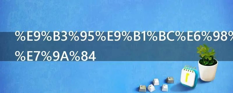 鳕鱼是哪里的