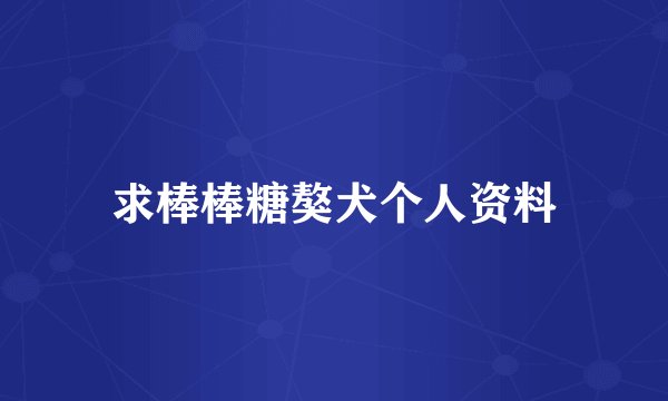 求棒棒糖獒犬个人资料