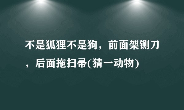 不是狐狸不是狗，前面架铡刀，后面拖扫帚(猜一动物)