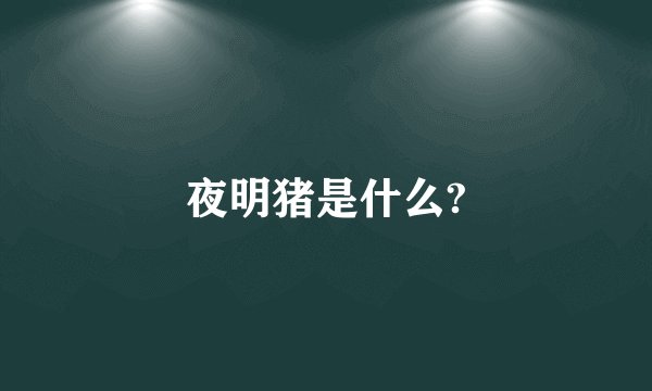 夜明猪是什么?