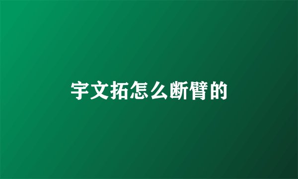 宇文拓怎么断臂的