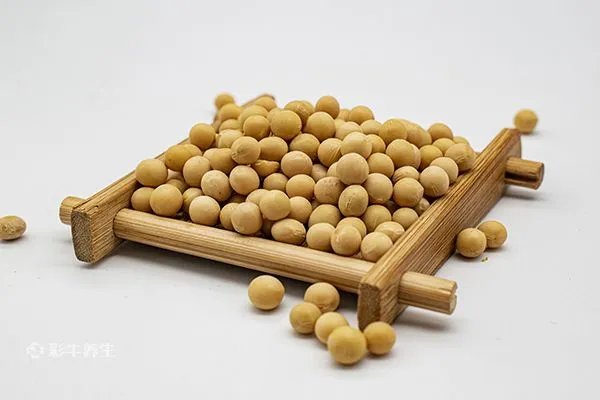 女人掉头发吃什么调理