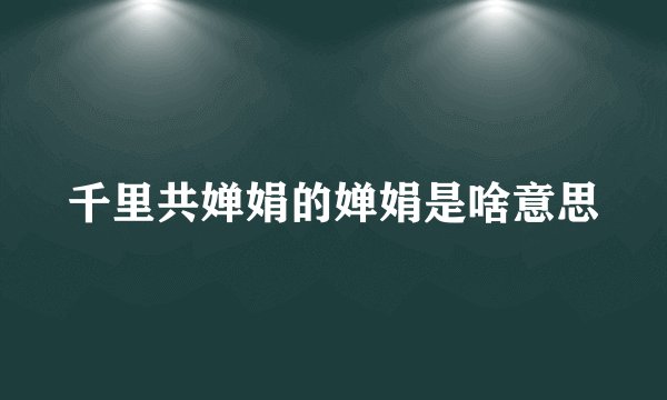 千里共婵娟的婵娟是啥意思