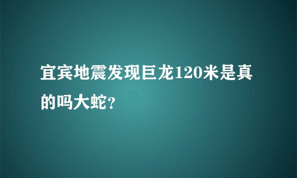 宜宾地震发现巨龙120米是真的吗大蛇？
