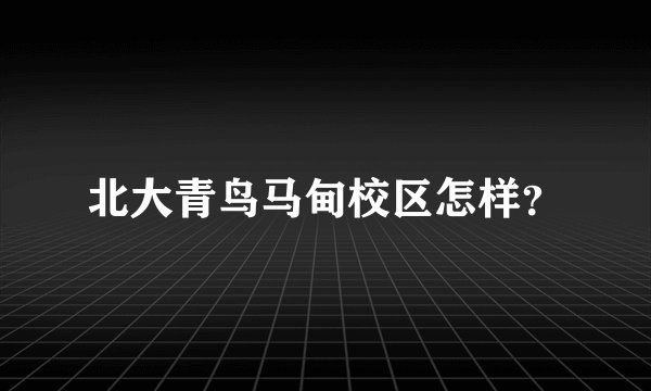 北大青鸟马甸校区怎样?