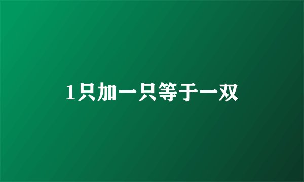 1只加一只等于一双